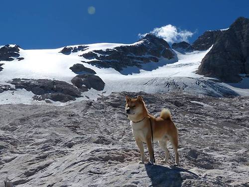 张雨霏蝶泳段强势追回劣势,蝶泳冠军张雨霏是哪里人