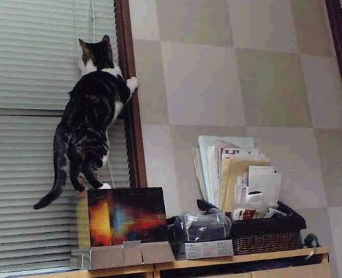 皇马压迫反击配合默契致命，皇马反击视频