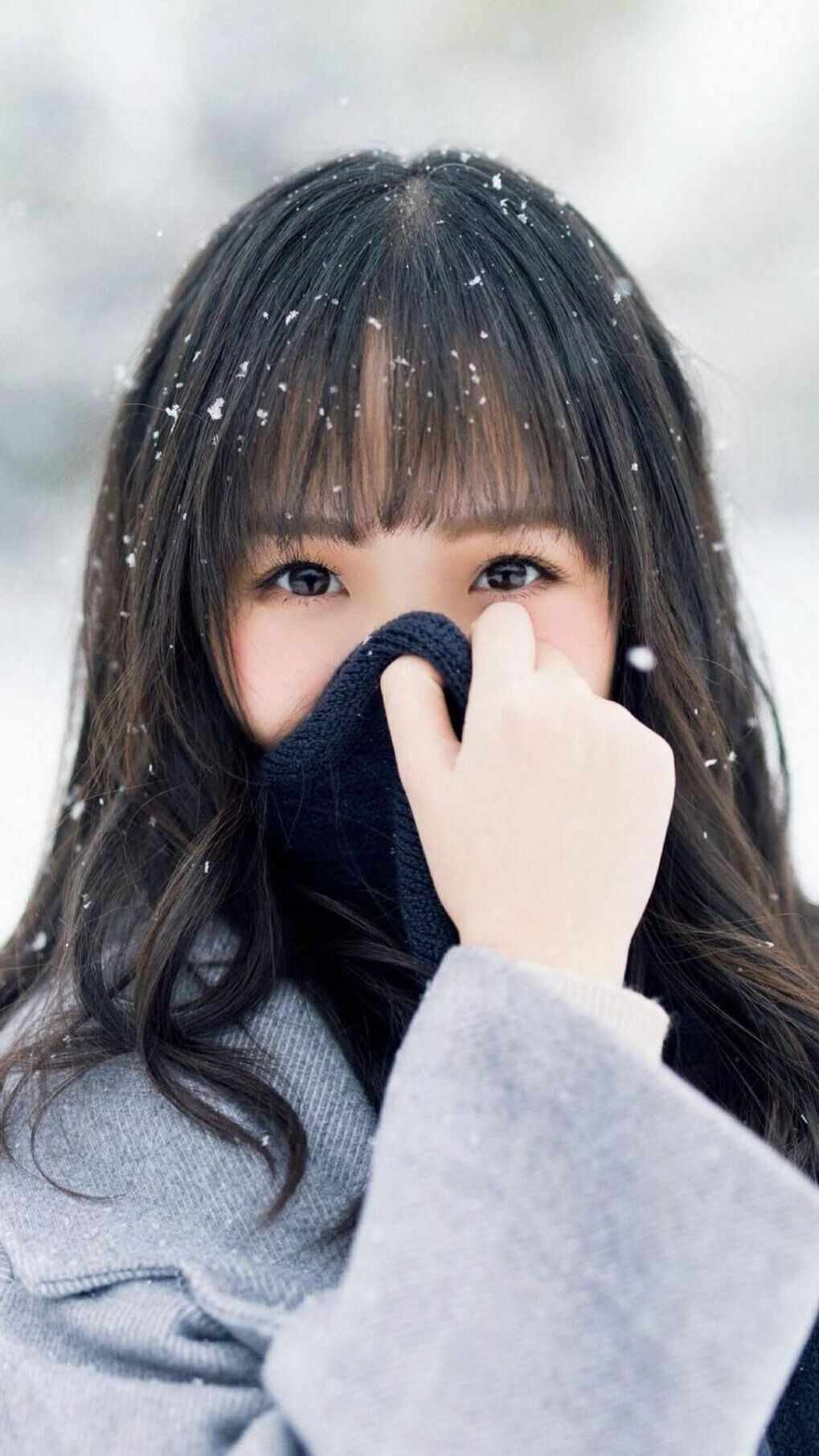 项目分布均衡,强项尚未完全暴露,项目分布情况是什么