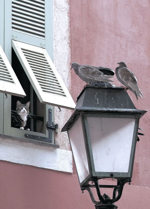 2026世界杯场馆采用新材料,强调环保与创新设计,2026年世界杯举办地确定