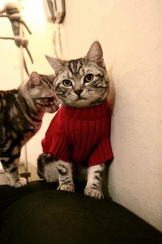 哈斯克决赛中段加速领跑赛道，哈克里斯集锦