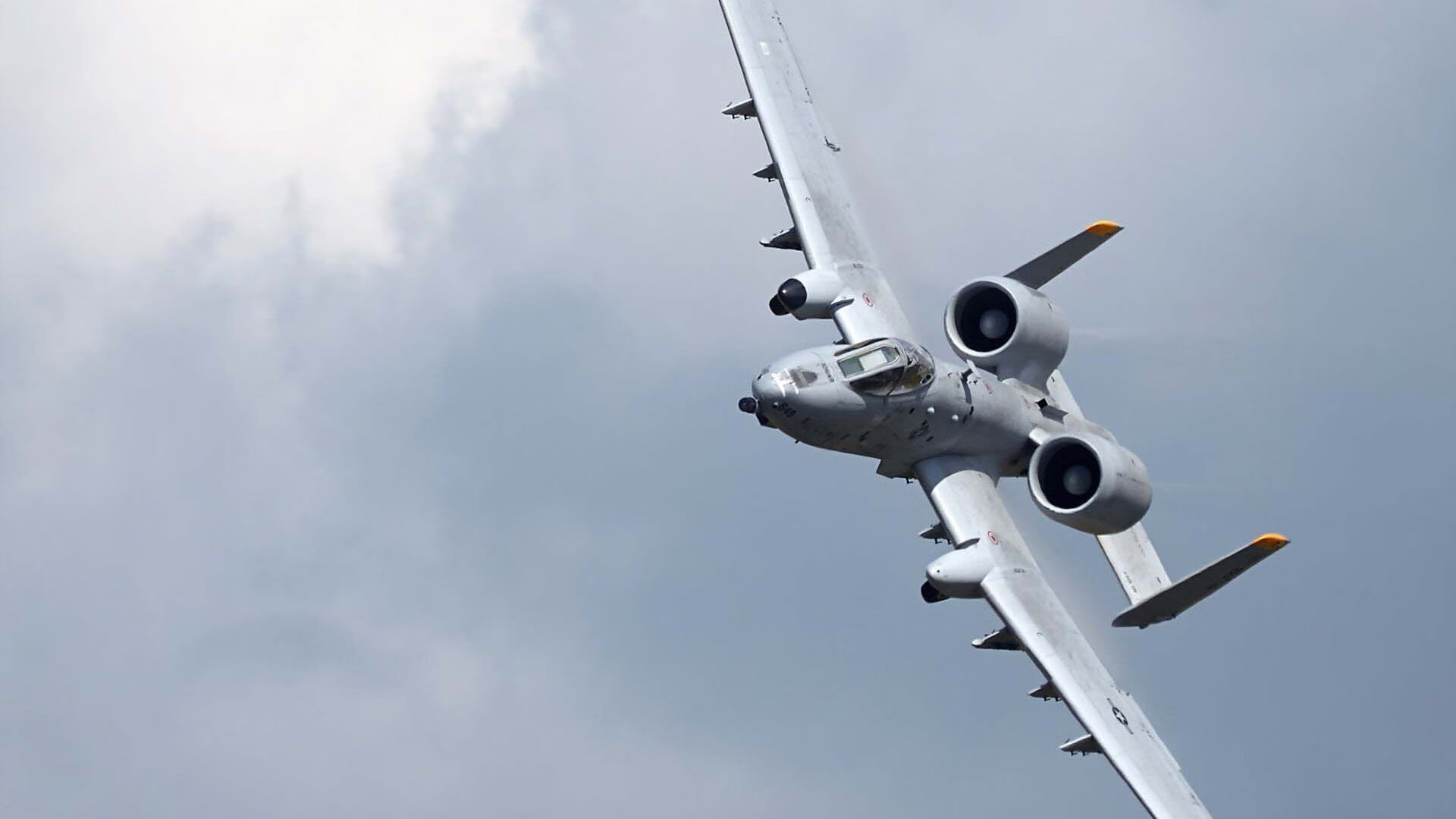 开云官网APP下载-国际体育交流年计划正式公布，国际体育教育联合会