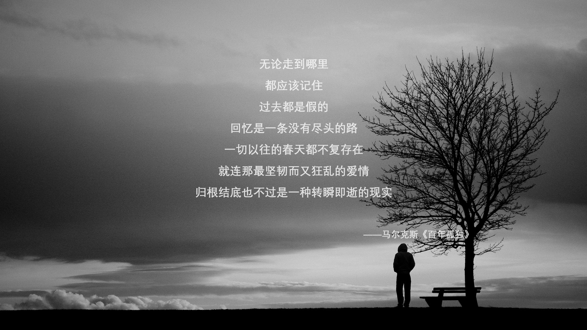 开云·Kaiyun网页版-塔特的表现不断突破自我，成为袋鼠队的领导核心