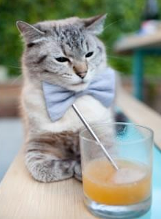 塔特的表现不断突破自我，成为袋鼠队的领导核心