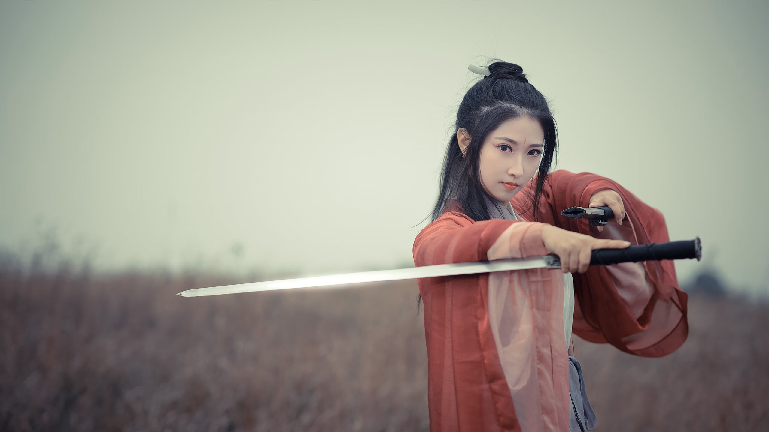 布克带领太阳开局打出十二比零高潮，布克 太阳