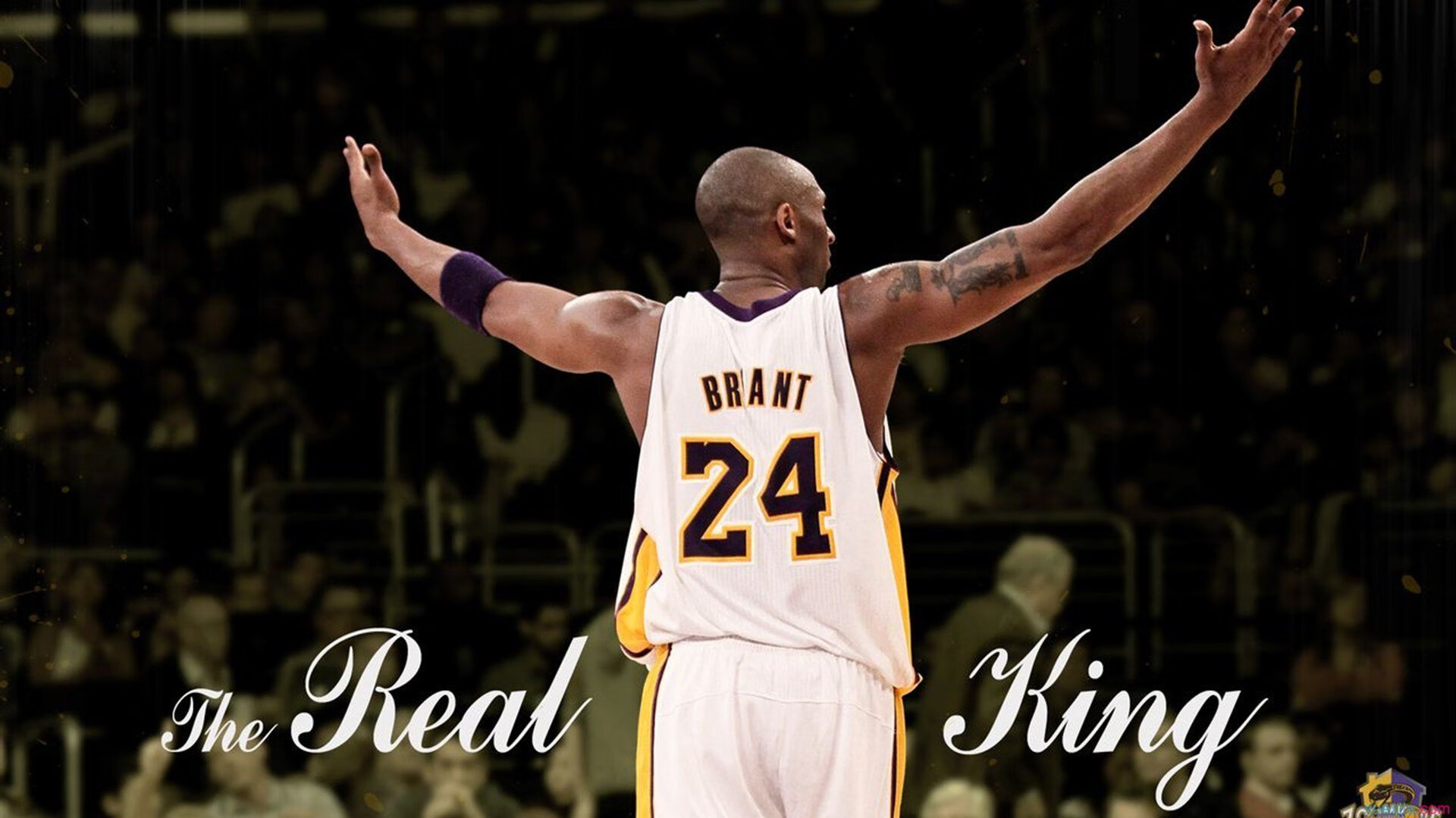 李娜亮相国际赛事支持中国小将登场,李娜战绩